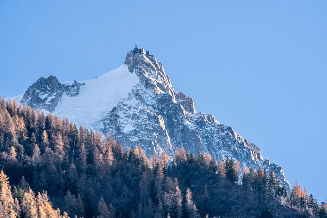 Chamonix Sud Studio With Mont Blanc Views Exterior photo